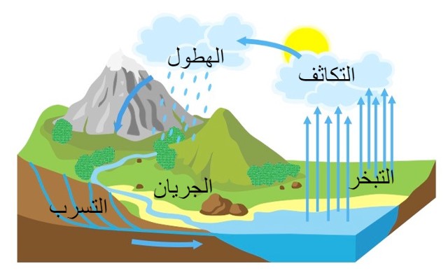 دورة حياة المياه