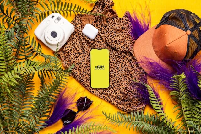 الفرق بين شريحة SIM و eSIM